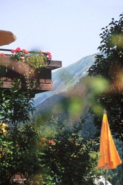 Hotel Adler Garni เฮียร์เชกก์ ภายนอก รูปภาพ